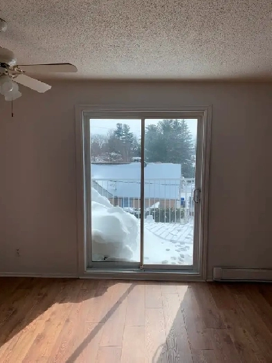 LOGEMENT À LOUER Image# 2