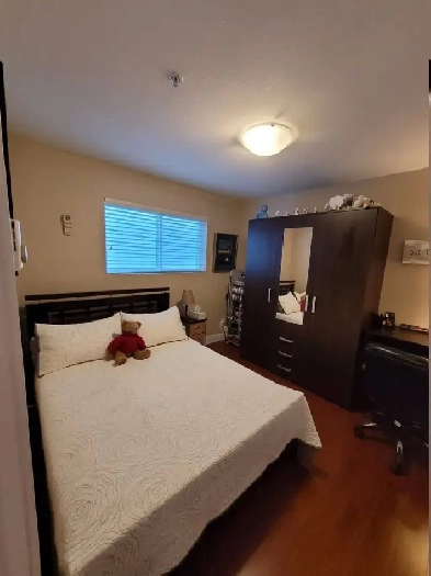 Basement suite 1 bedroom Image# 9