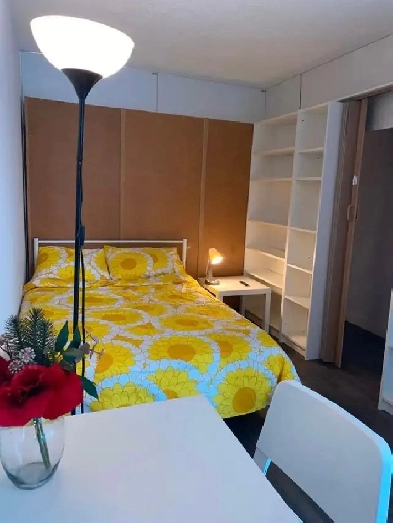 Room in Toronto downtown for rent Image# 1