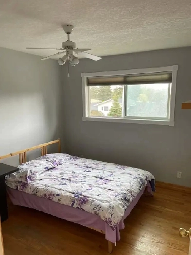 Two rooms near U of C for rent, $750 /month each, Sept. 1st Image# 5