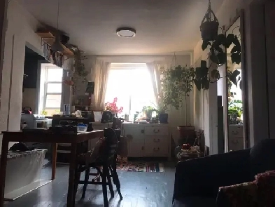 July and August Sublet Mile End Montreal $1000 Image# 1