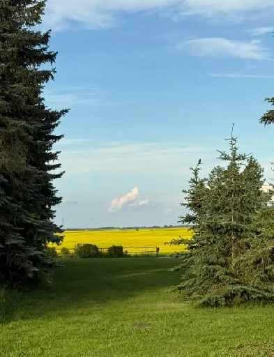 Acreage for Sale Image# 7