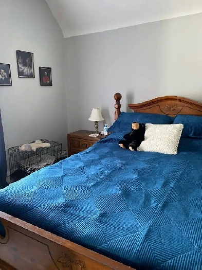 2 Bedroom apartment Image# 5