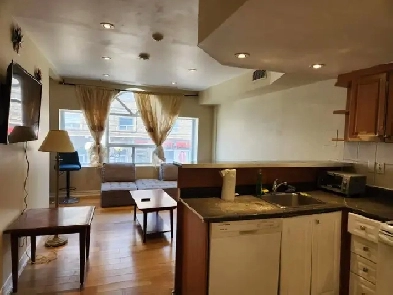 Furnished 2 bdr apt, near Pape Station, Jul-Aug 1 Image# 12