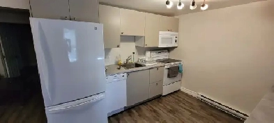1x Bedroom Apartment in Downtown-Hull Image# 4