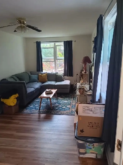 1 Bedroom suite for rent Image# 7