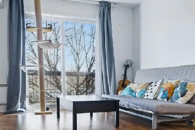 Large two bedroom apartment at Angrignon Image# 9