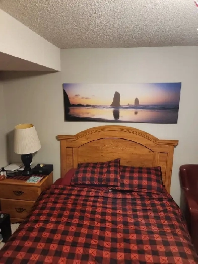 Furnished Room in lower level Image# 1