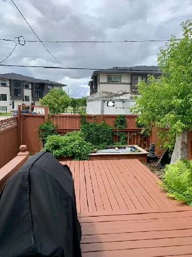 Room for Rent in 3-Bedroom Townhouse – Available September Image# 3