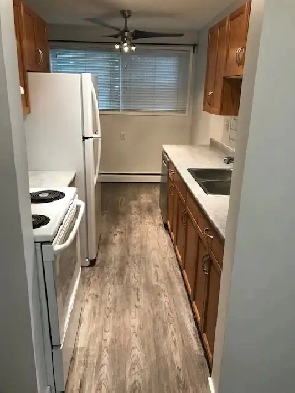 Garneau University Area Condo For Rent Image# 6