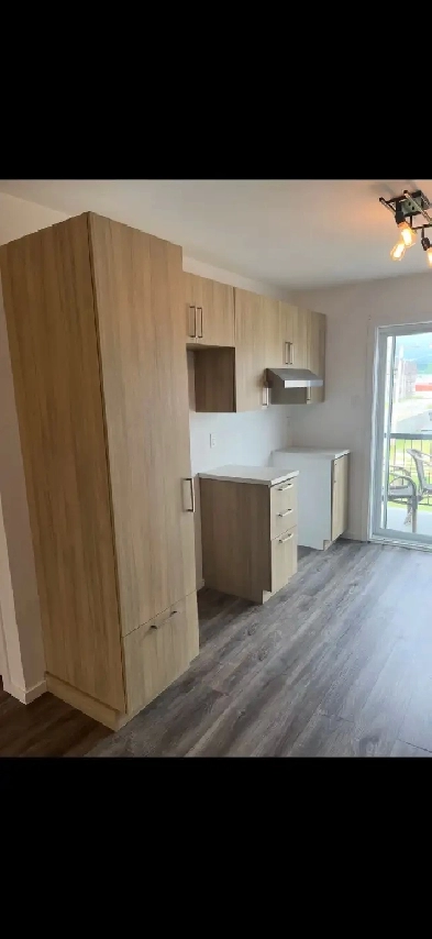 Appartement 4 1/2 - Mascouche Image# 10