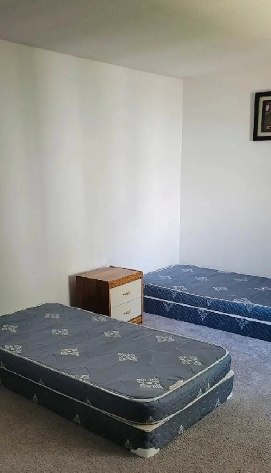 Private/ Sharing room for girls Image# 6