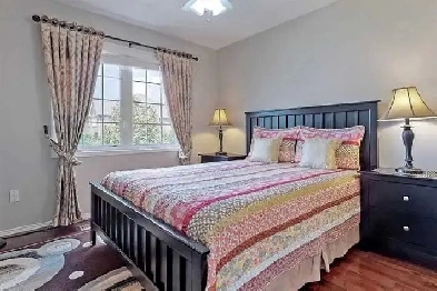 Room rent Hamilton Large Windows Bedroom Image# 1
