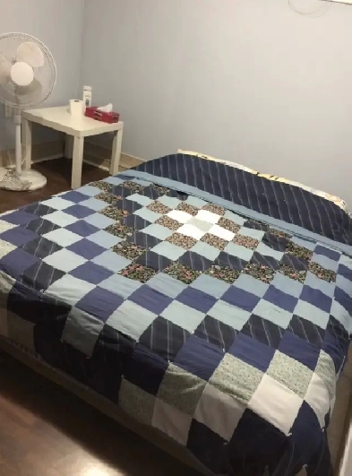 Rent | Western and Eglinton | Female Only | Basement | September Image# 1