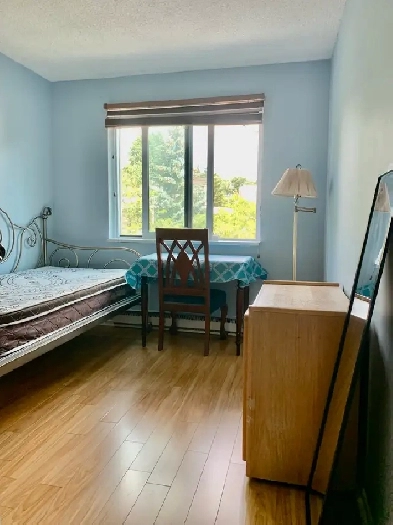 Apartment-like Bight Room near Seneca College for September Image# 3