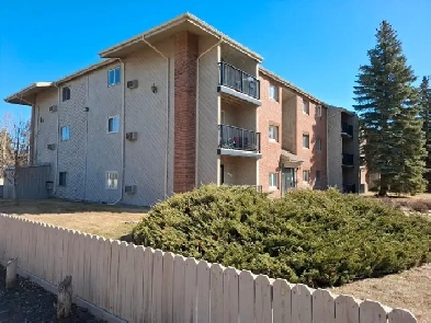 2 bedroom Condo on 1st floor for rent in East College Park Image# 9