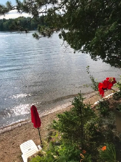 Chalet à louer bord de l’eau ! Septembre Libre - Aubaine Image# 1