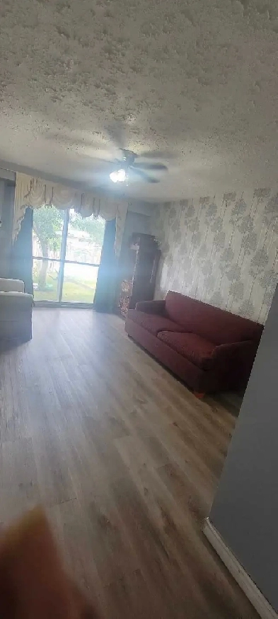 Furnished Room Main flr Females house Great Location Image# 7