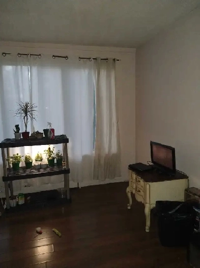 room for rent Image# 2
