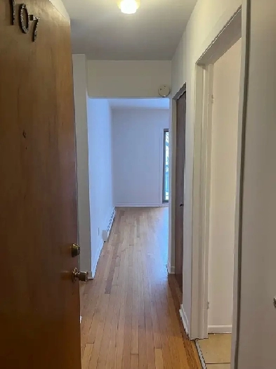 Apartment for Rent Image# 10