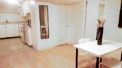 1 Bedroom Basement Apartment Near STC Image# 3