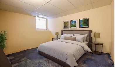 Basement for rent near St.vital Image# 1