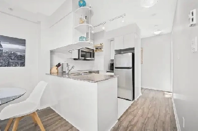 $3,600 / 2br - 900ft2 - Beautiful renovated downtown apartment Image# 9