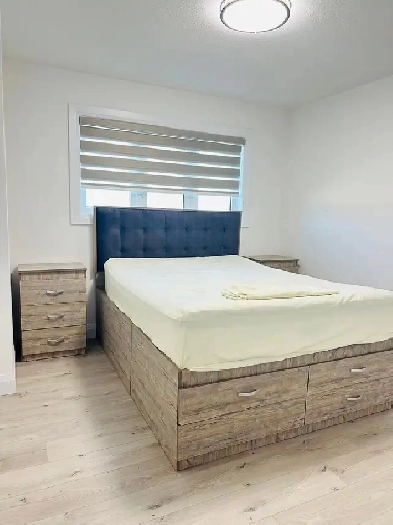 Room for Rent! Image# 4