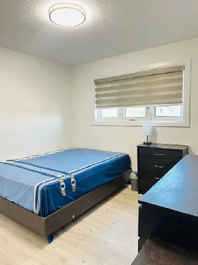 Room for rent! Image# 5