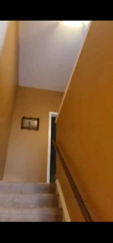 2 BDRM W/Bathroom In Streetsville next to Go station Image# 2