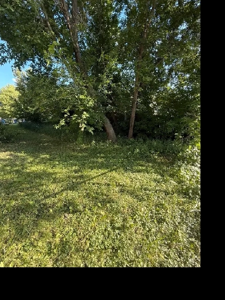 VL in Point Douglas! Great Opportunity for Builders/Investors! Image# 3