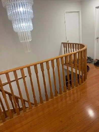 room for Rent Image# 4