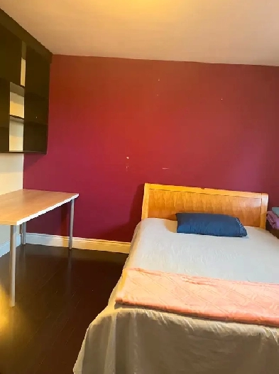 Single Room for Rent Image# 3