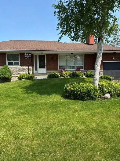 Spacious 3bed 1bath house Image# 7