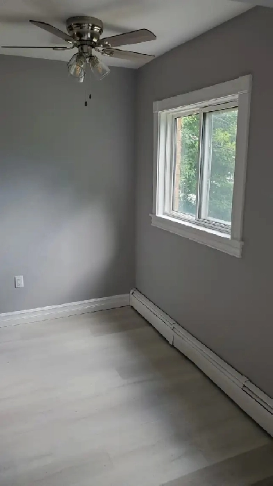 1 Bdr renovated apartment available immediately 41 Jackson Rd Image# 1