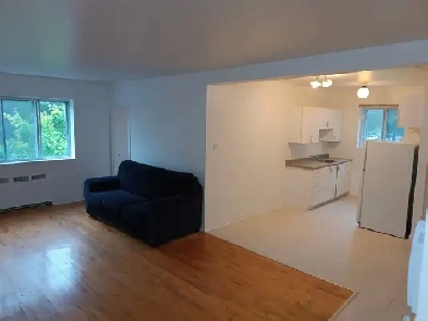 Libre, beau grand 4½, avec salle de lavage dans le logement Image# 1