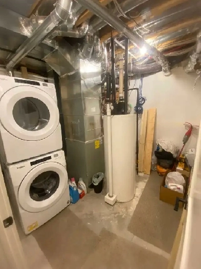 3bedroom Basement for rent Image# 3