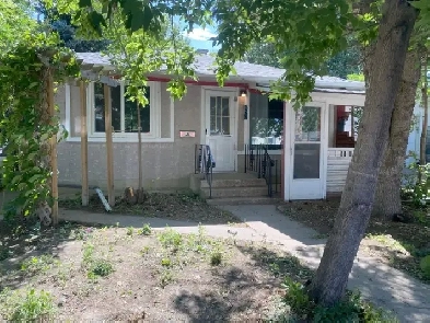 Pet friendly 2 bed room, main floor own laundry fenced yard Image# 2