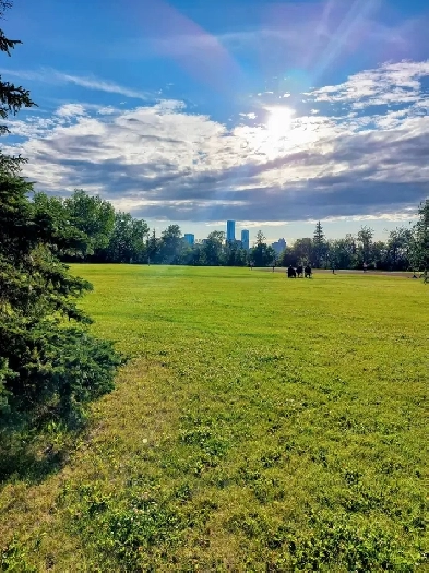 'Sunset or Sunrise, this home is yours for $2295' Image# 6