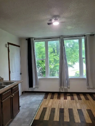 Cozy one bedroom apartment Image# 2