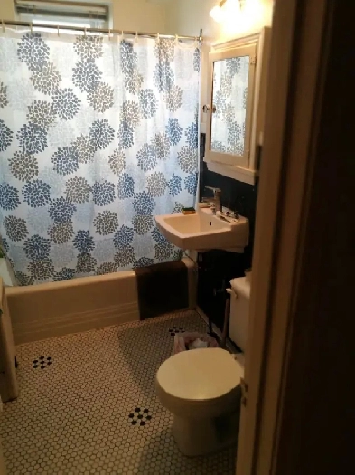 Downtown one bedroom apartment for rent at the end of September Image# 2