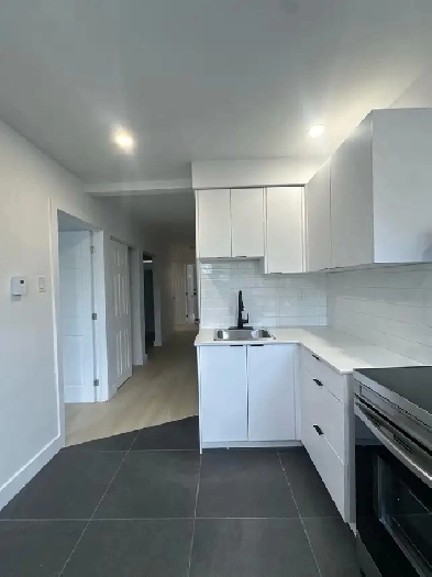 Renovated 3  bedroom apartment - Metro Monk Image# 2