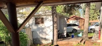 Cabin for Sale at Clear Lake (Old Camp Ground)! Image# 1