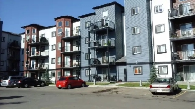 1 Bed Room Condo for Rent in South East Edmonton Image# 5