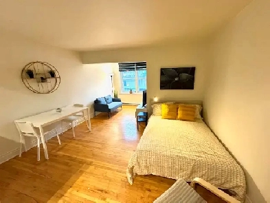 Superbes studio style loft 1 1/2 rénové libre Image# 1