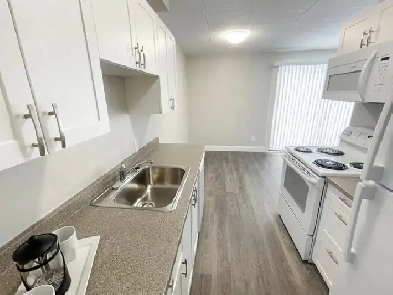 1 Bedroom Apartment in SSM - ALL INCLUSIVE Image# 4