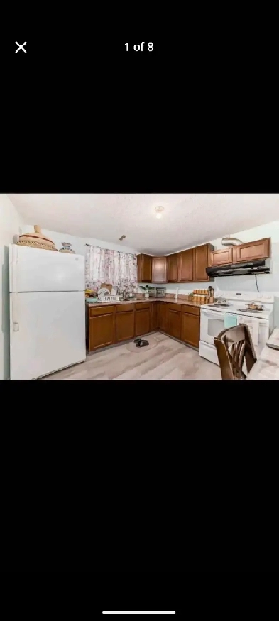 Basement suite for rent in whitehorn Image# 3