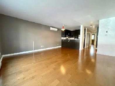 Hochelaga - Superbe Condo 4 1/2 Rénové avec GARAGE - 1 Septembre Image# 11