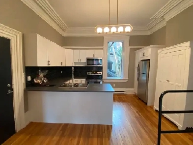 17 Horsfield Suite 1 Image# 3