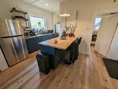Beautiful open Concept Apartment Walking distance to DT Image# 2